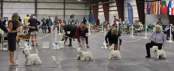 383245050_1759468141166880_3554136678956207108_n 383245050_1759468141166880_3554136678956207108_n