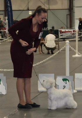 383901472_3484064761852708_5326224940841021308_n 383901472_3484064761852708_5326224940841021308_n