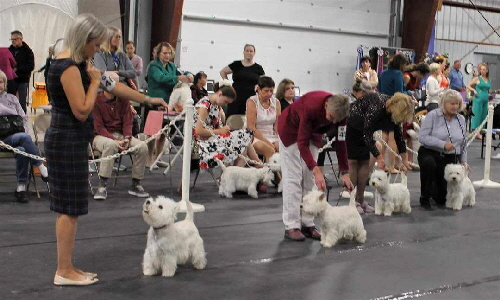 384056715_845200773924671_4112209815663404785_n 384056715_845200773924671_4112209815663404785_n