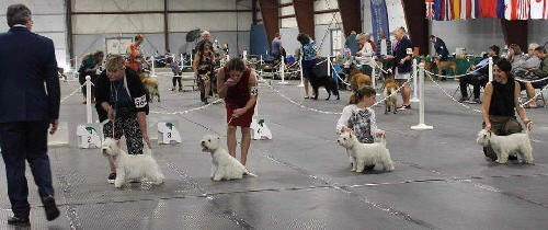 384159674_1385815738634591_3267058073314709140_n 384159674_1385815738634591_3267058073314709140_n