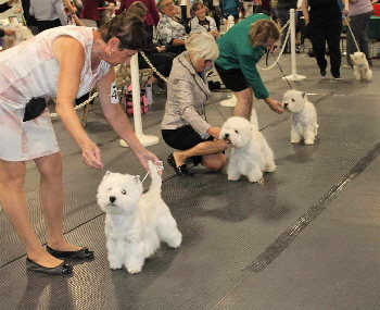 384167691_291968333586113_2603083390663580793_n 384167691_291968333586113_2603083390663580793_n