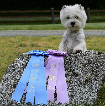 Aimee_0610 Aimee_0610