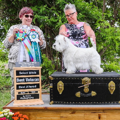 Best Veteran Best Veteran