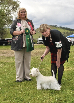 Best in Sweeps1 Best in Sweeps1